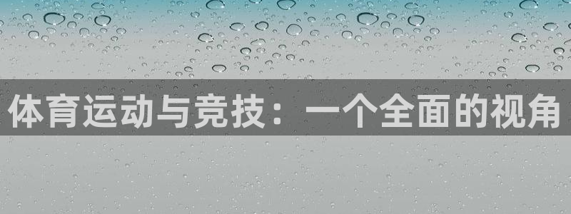 中欧新蓝筹混合A(166002)