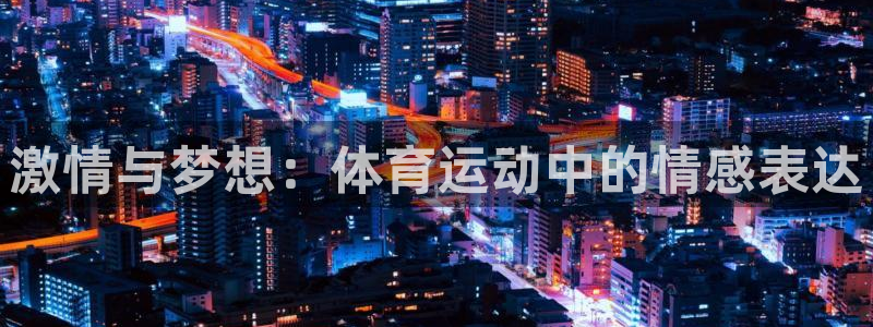 中欧cmo班：激情与梦想：体育运动中的情感表达
