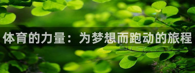 中欧班列130多列在途积压：体育的力量：为梦想而跑动的旅程