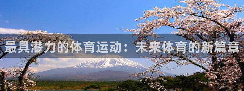 中欧多元价值三年持有混合A