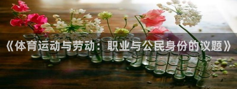 中欧欧洲法国际组织后备人才培养项目