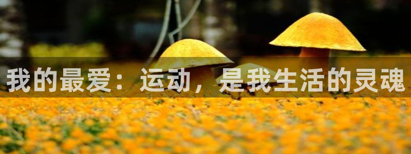中欧Videos精品