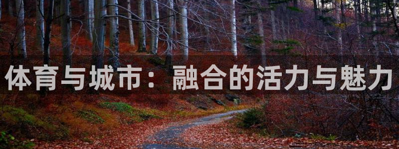 中欧多元价值三年持有混合A