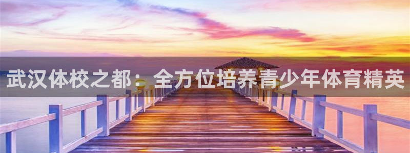 中欧瑾通灵活配置混合c怎么样：武汉体校之都：全方位培养青少年体育精英